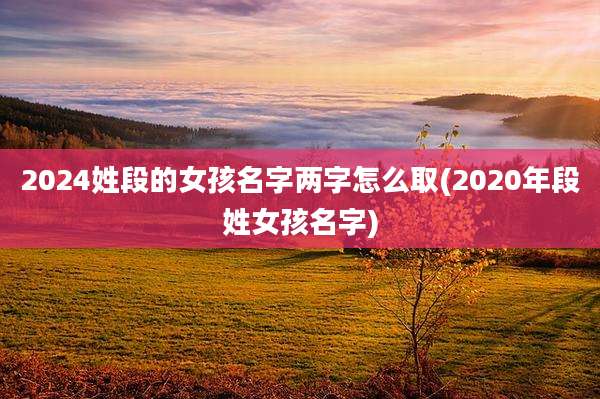 2024姓段的女孩名字两字怎么取(2020年段姓女孩名字)