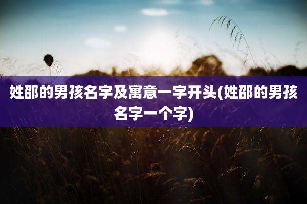 姓邵的男孩名字及寓意一字开头(姓邵的男孩名字一个字)