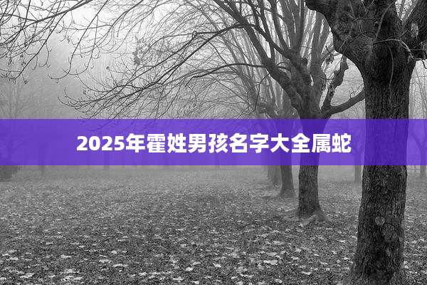 2025年霍姓男孩名字大全属蛇