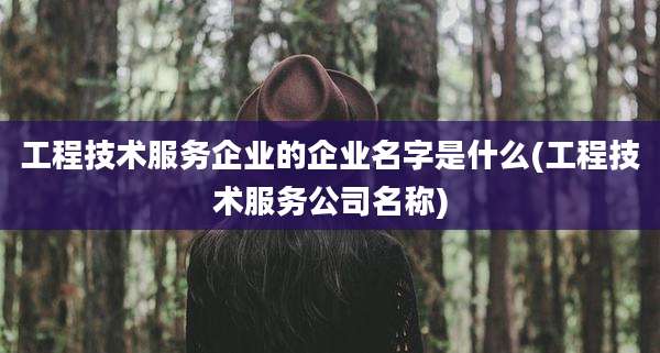 工程技术服务企业的企业名字是什么(工程技术服务公司名称)