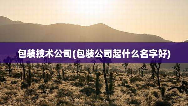 包装技术公司(包装公司起什么名字好)