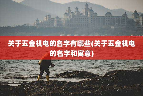 关于五金机电的名字有哪些(关于五金机电的名字和寓意)