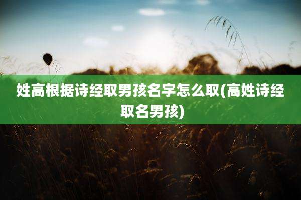 姓高根据诗经取男孩名字怎么取(高姓诗经 取名男孩)