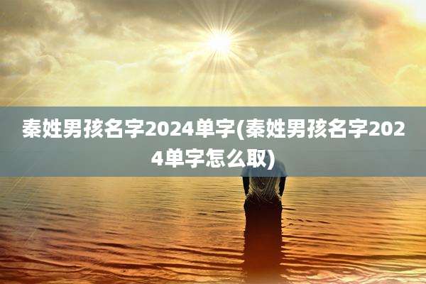 秦姓男孩名字2024单字(秦姓男孩名字2024单字怎么取)