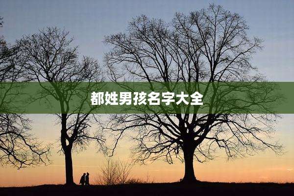 都姓男孩名字大全