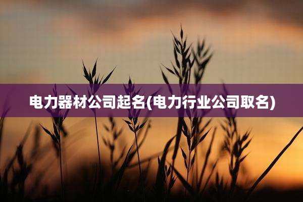 电力器材公司起名(电力行业公司取名)