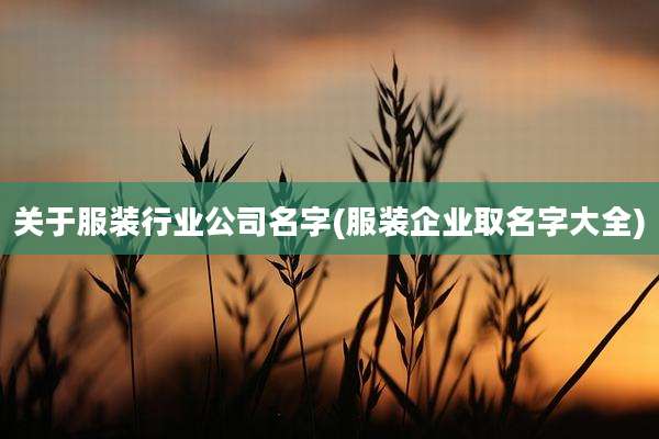关于服装行业公司名字(服装企业取名字大全)