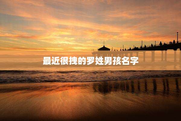 最近很拽的罗姓男孩名字