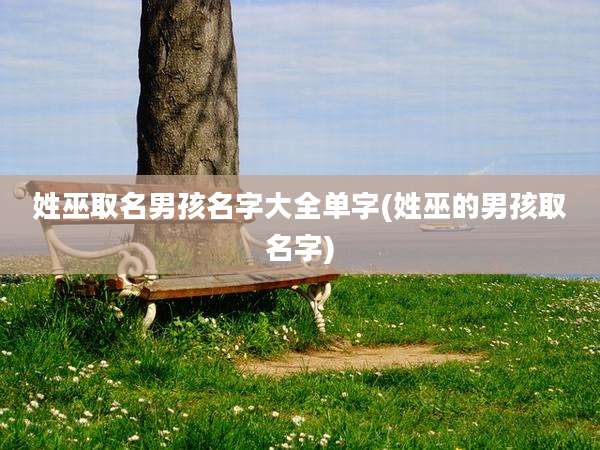 姓巫取名男孩名字大全单字(姓巫的男孩取名字)