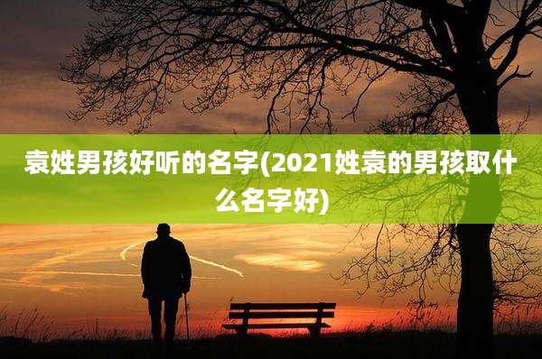 袁姓男孩好听的名字(2021姓袁的男孩取什么名字好)