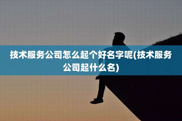 技术服务公司怎么起个好名字呢(技术服务公司起什么名)
