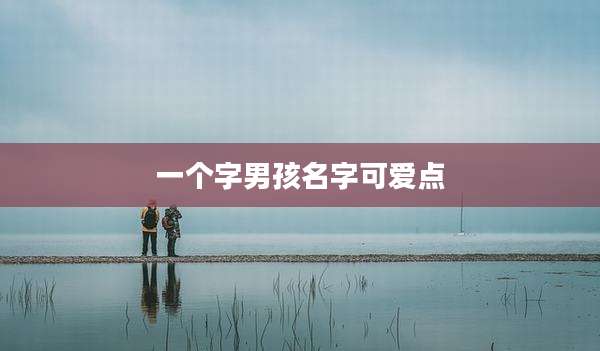 一个字男孩名字可爱点