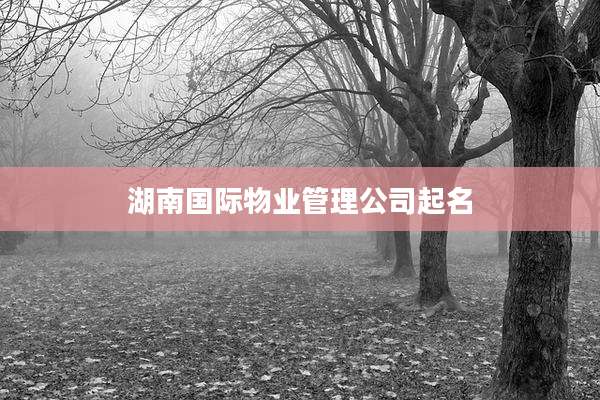 湖南国际物业管理公司起名