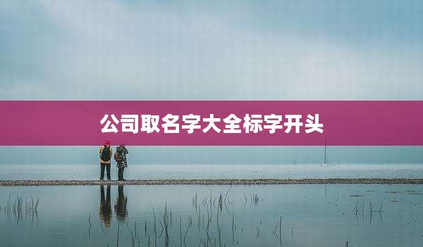 公司取名字大全标字开头