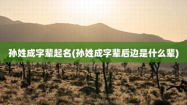 孙姓成字辈起名(孙姓成字辈后边是什么辈)