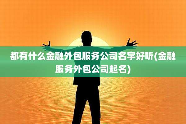 都有什么金融外包服务公司名字好听(金融服务外包公司起名)