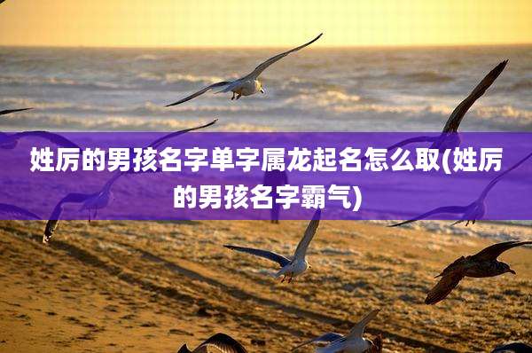 姓厉的男孩名字单字属龙起名怎么取(姓厉的男孩名字霸气)