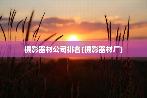 摄影器材公司排名(摄影器材厂)