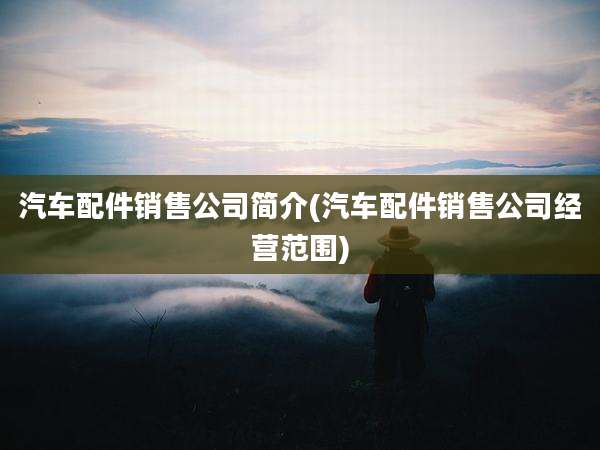 汽车配件销售公司简介(汽车配件销售公司经营范围)