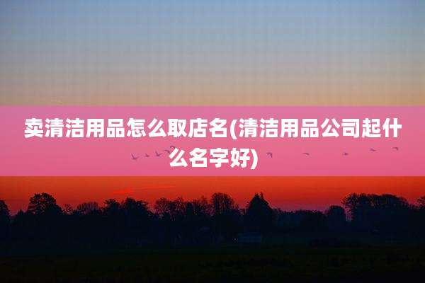 卖清洁用品怎么取店名(清洁用品公司起什么名字好)