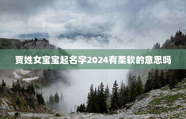 贾姓女宝宝起名字2024有柔软的意思吗