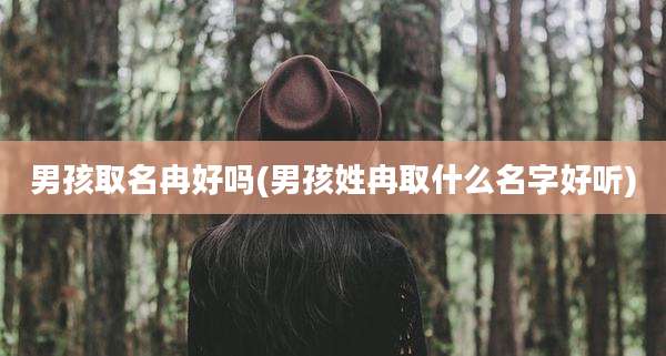 男孩取名冉好吗(男孩姓冉取什么名字好听)