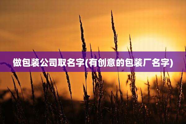 做包装公司取名字(有创意的包装厂名字)