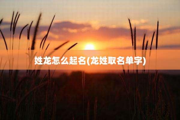 姓龙怎么起名(龙姓取名单字)