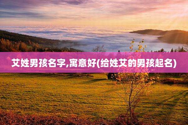 艾姓男孩名字,寓意好(给姓艾的男孩起名)