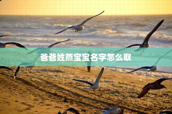 爸爸姓燕宝宝名字怎么取