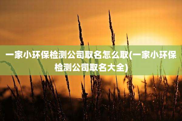 一家小环保检测公司取名怎么取(一家小环保检测公司取名大全)