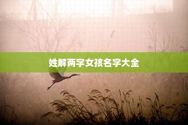 姓解两字女孩名字大全