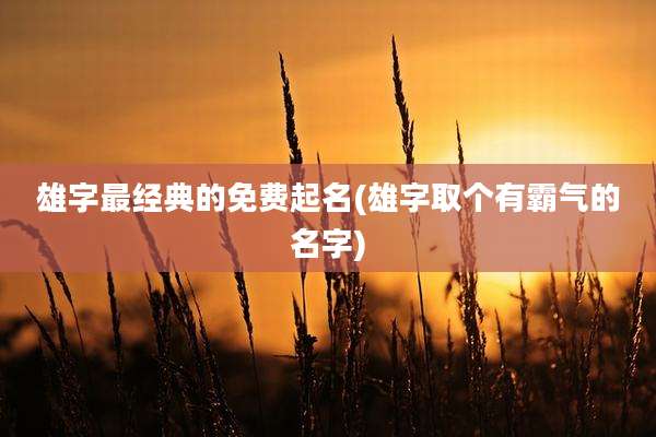 雄字最经典的免费起名(雄字取个有霸气的名字)