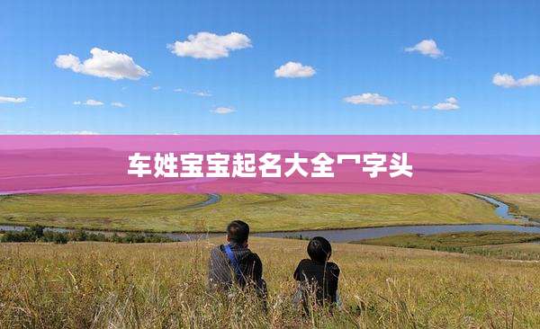 车姓宝宝起名大全冖字头
