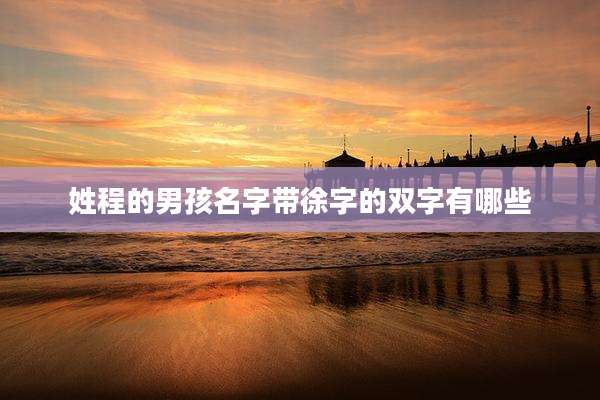 姓程的男孩名字带徐字的双字有哪些