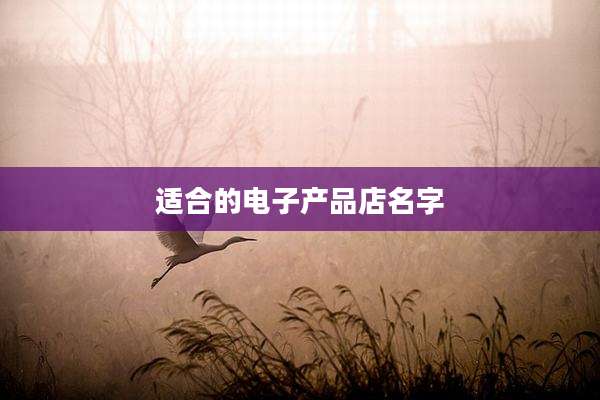 适合的电子产品店名字