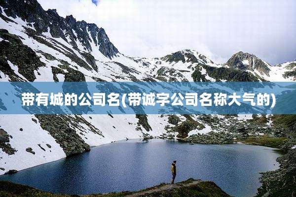 带有城的公司名(带诚字公司名称大气的)