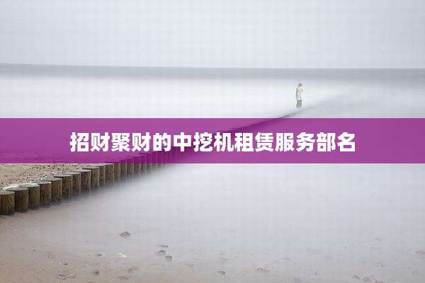 招财聚财的中挖机租赁服务部名