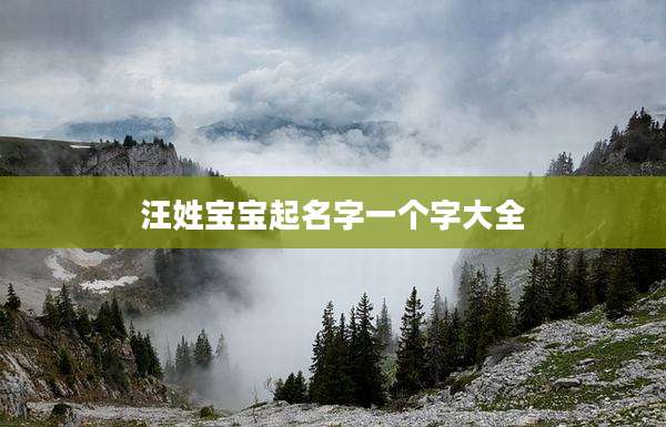 汪姓宝宝起名字一个字大全