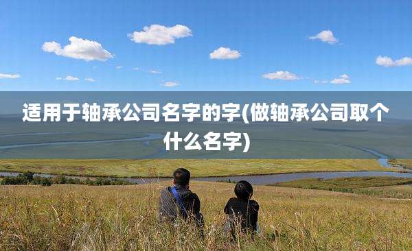 适用于轴承公司名字的字(做轴承公司取个什么名字)