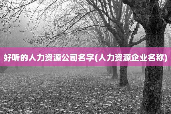 好听的人力资源公司名字(人力资源企业名称)