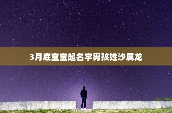 3月底宝宝起名字男孩姓沙属龙