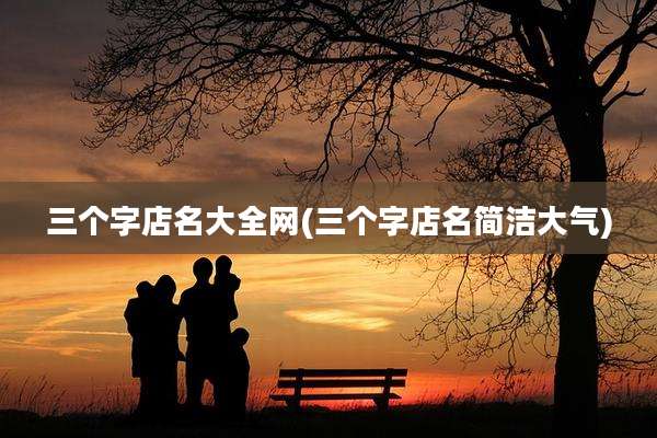三个字店名大全网(三个字店名简洁大气)