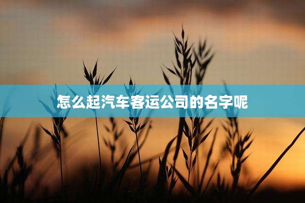 怎么起汽车客运公司的名字呢