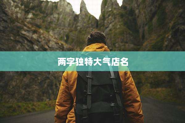 两字独特大气店名