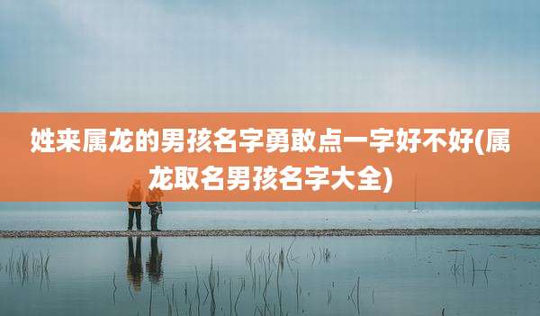 姓来属龙的男孩名字勇敢点一字好不好(属龙取名男孩名字大全)