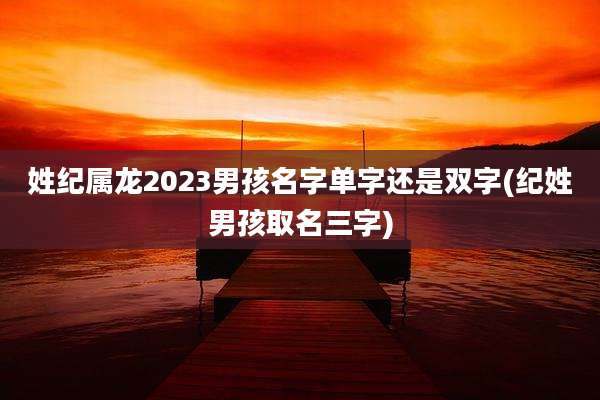 姓纪属龙2023男孩名字单字还是双字(纪姓男孩取名三字)
