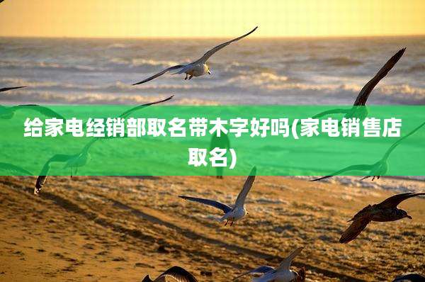 给家电经销部取名带木字好吗(家电销售店取名)