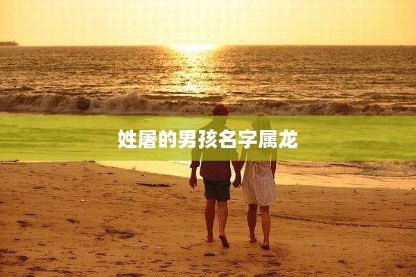 姓屠的男孩名字属龙
