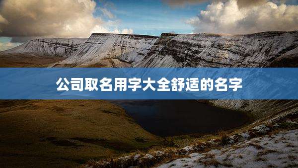 公司取名用字大全舒适的名字